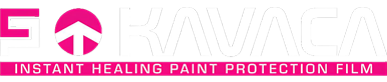 alt-logo